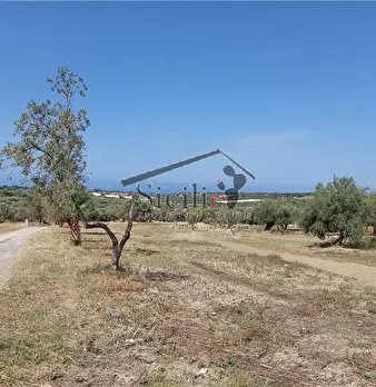 Foto annuncio 14