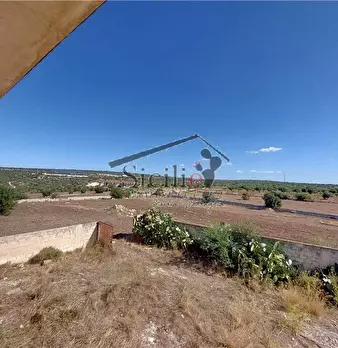 Foto annuncio 13
