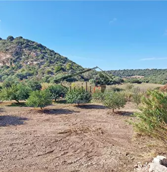 Foto annuncio 12