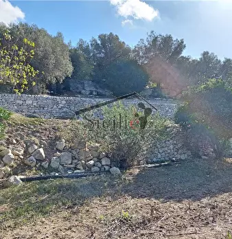 Foto annuncio 13