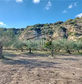 Foto annuncio 15