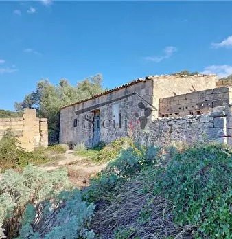 Foto annuncio 7