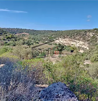 Foto annuncio 9