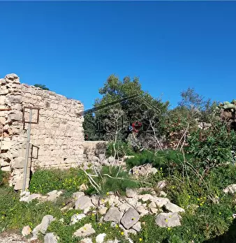 Foto annuncio 10