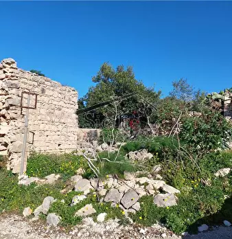 Foto annuncio 7