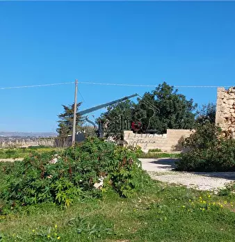 Foto annuncio 9