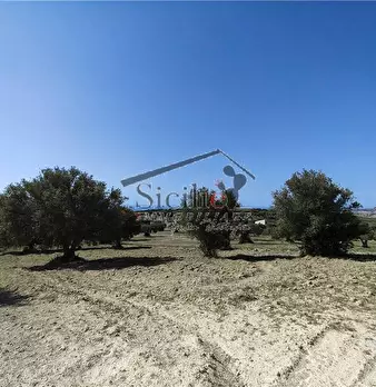 Foto annuncio 13