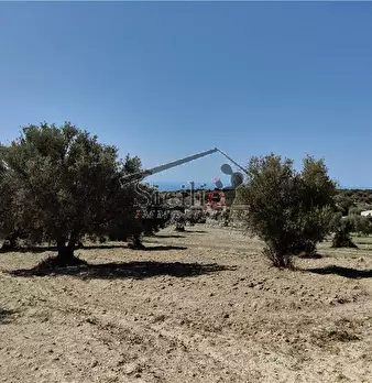 Foto annuncio 14