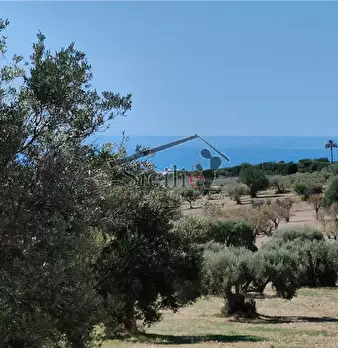 Foto annuncio 15