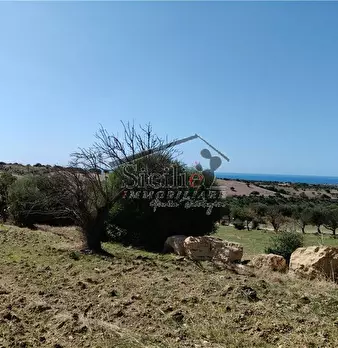 Foto annuncio 12