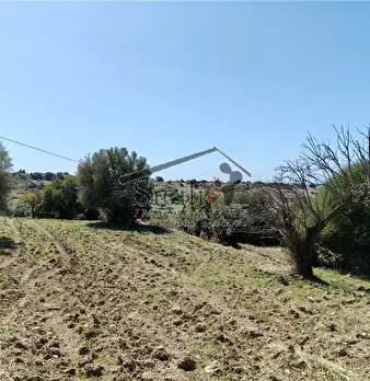 Foto annuncio 13