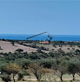 Foto annuncio 14