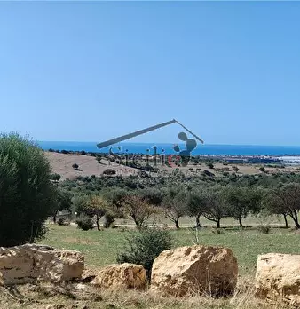 Foto annuncio 9