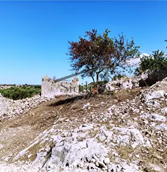Foto annuncio 4