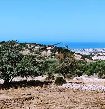 Foto annuncio 6