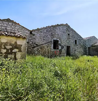 Foto annuncio 7