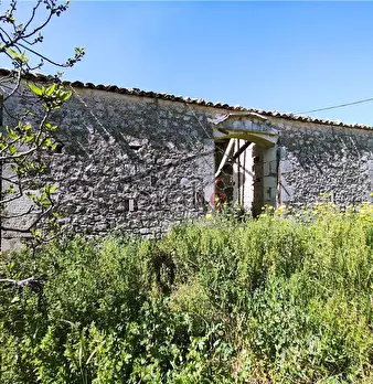 Foto annuncio 9