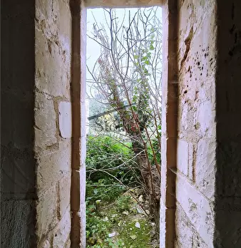 Foto annuncio 9