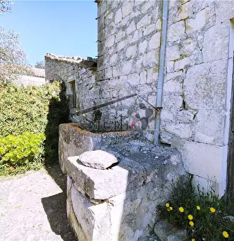 Foto annuncio 9