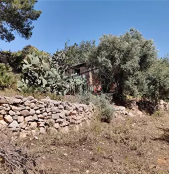 Foto annuncio 11