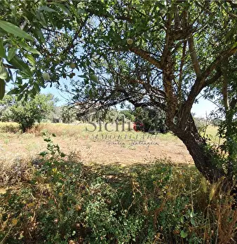 Foto annuncio 12