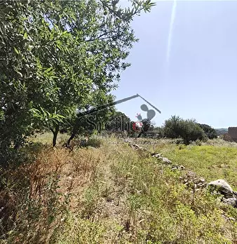 Foto annuncio 13