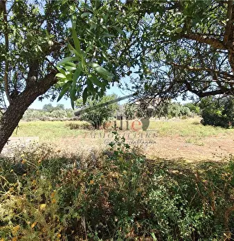 Foto annuncio 14