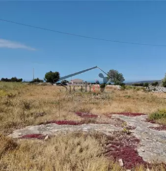 Foto annuncio 14