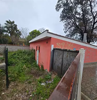 Foto annuncio 3