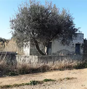 Foto annuncio 2
