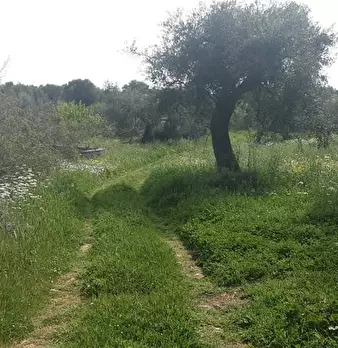 Foto annuncio 5
