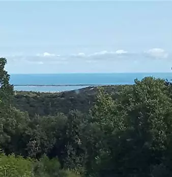 Foto annuncio 4