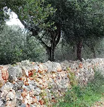 Foto annuncio 2