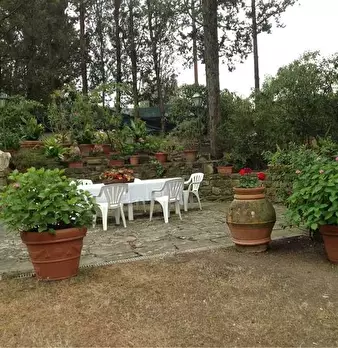 Foto annuncio 5