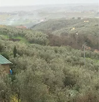 Foto annuncio 1
