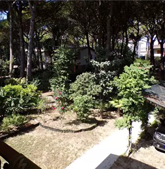 Foto annuncio 5