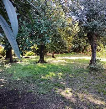 Foto annuncio 4