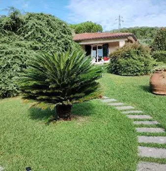Foto annuncio 3