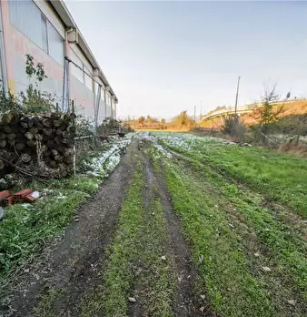 Foto annuncio 19