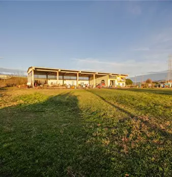 Foto annuncio 9