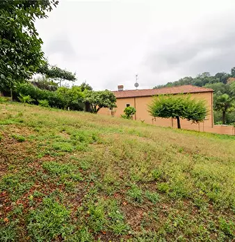 Foto annuncio 20