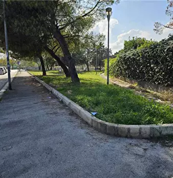 Foto annuncio 4