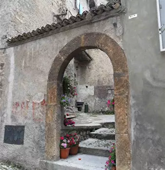 Foto annuncio 2