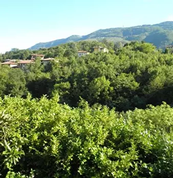 Foto annuncio 14