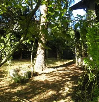 Foto annuncio 8