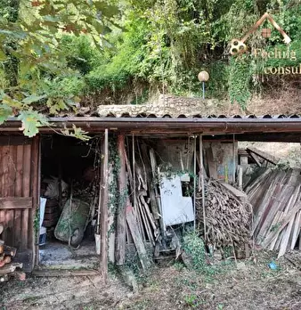 Foto annuncio 28