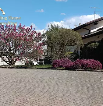 Foto annuncio 24
