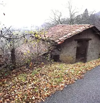 Foto annuncio 1