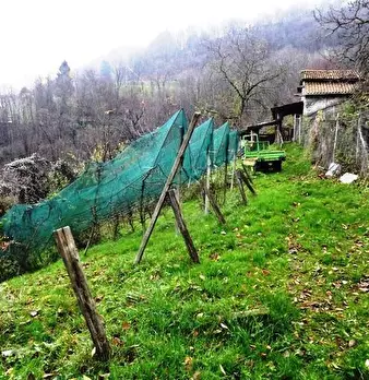 Foto annuncio 3