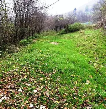 Foto annuncio 6